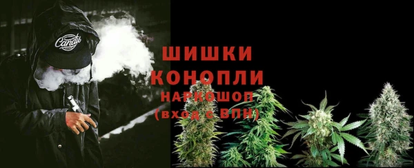 шишки Медногорск