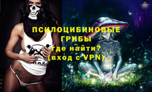шишки Медногорск