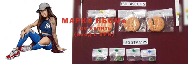 шишки Медногорск