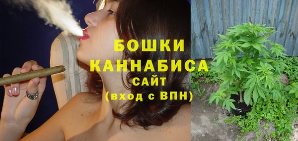 шишки Медногорск