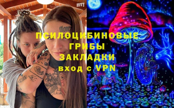 ГАЛЛЮЦИНОГЕННЫЕ ГРИБЫ Мегион