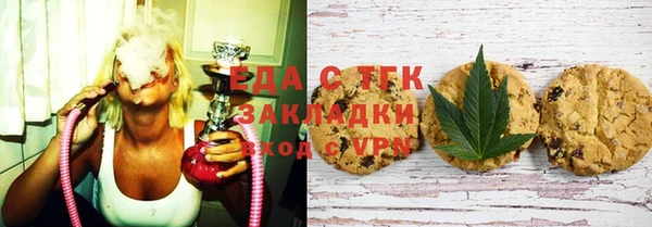 шишки Медногорск