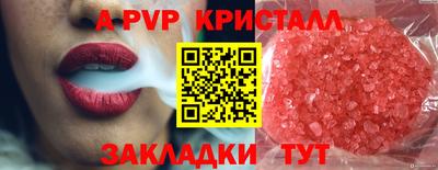 спиды Донской