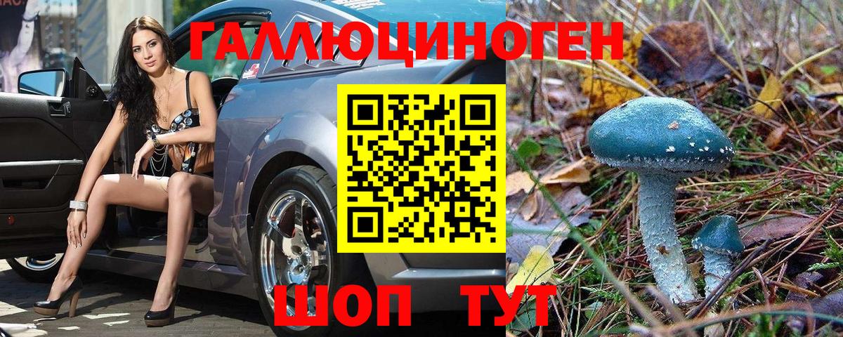 Надым  Псилоцибиновые грибы Psilocybe  Вход с VPN  Псилоцибиновые грибы Cubensis 