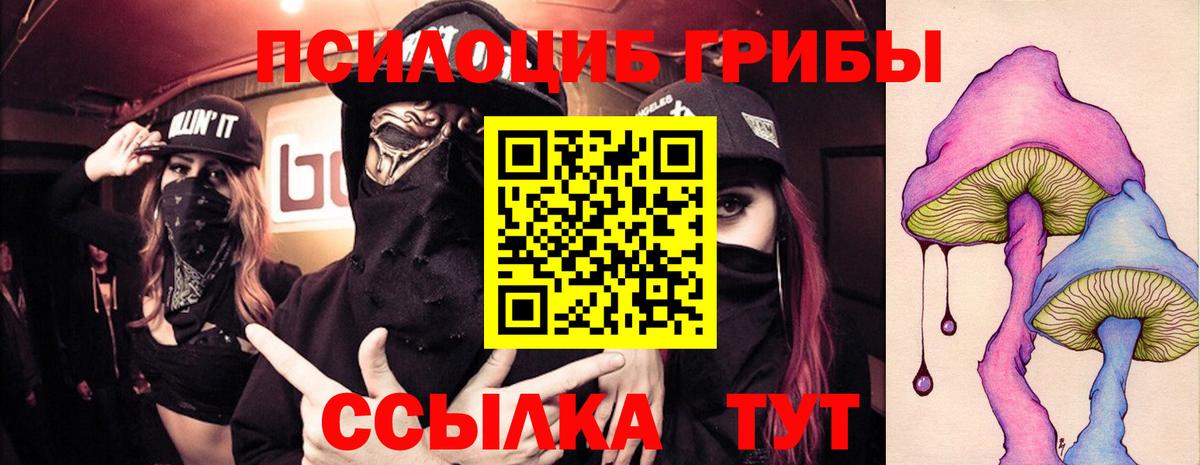 Псилоцибиновые грибы прущие грибы Надым